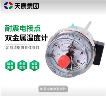 WSSN-401耐震型双金属温度计