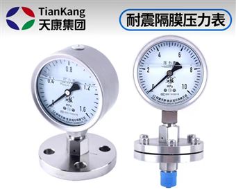 YN-200耐振压力表-不锈钢压力表