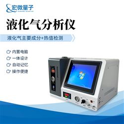 GC-R2石油液化气分析仪