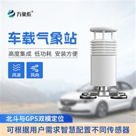 WX-CZ2车载气象仪