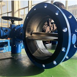 電動(dòng)軟密封蝶閥