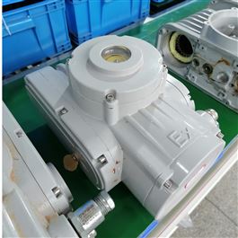 廠(chǎng)家精小型開(kāi)關(guān)型電動(dòng)執(zhí)行器