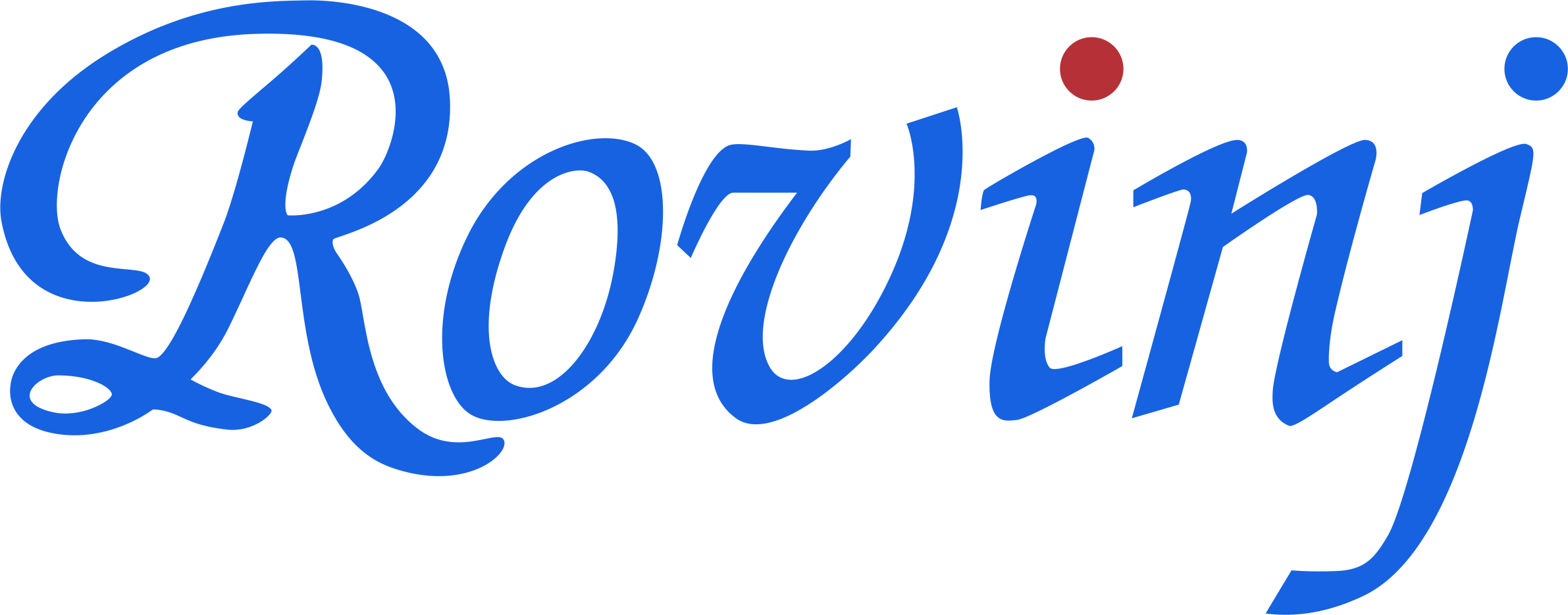 广州罗维尼信息科技有限公司