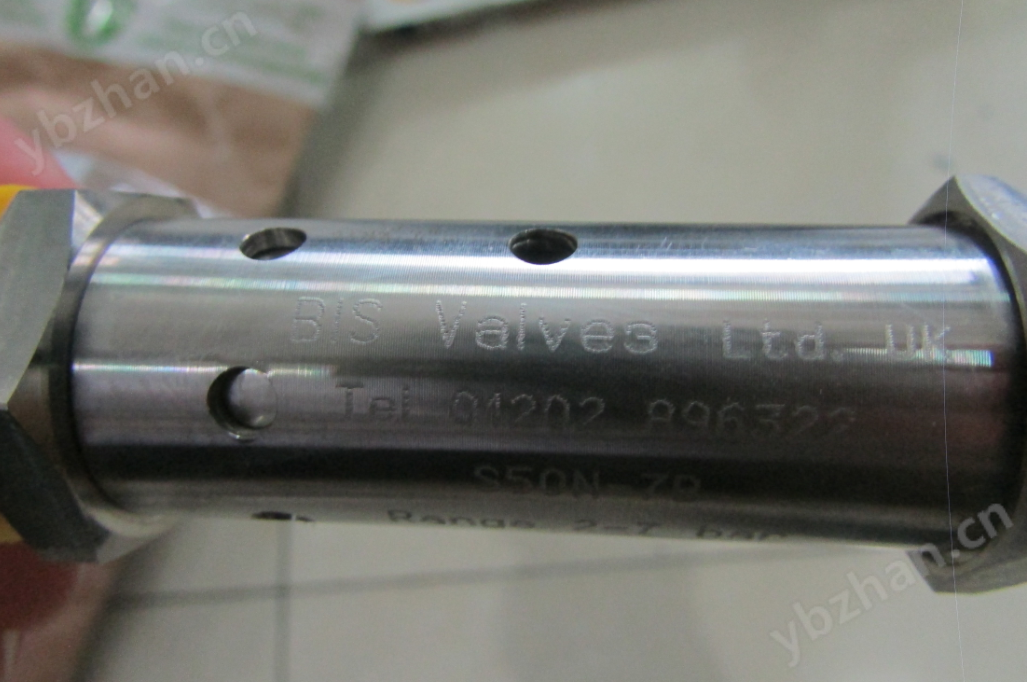 BIS Valves安全阀BIS Valve减压阀经销商