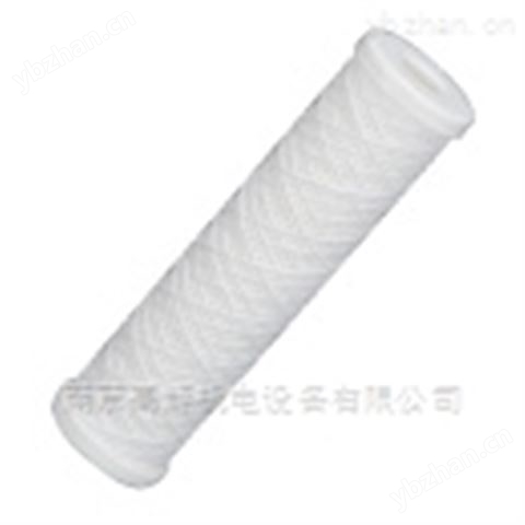 日本TRIPLER濾芯CT20中國(guó)代理-濾芯器 濾芯CT20