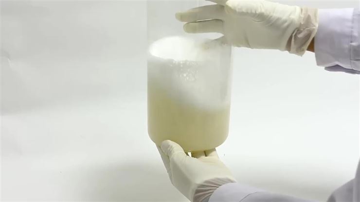 DISRAD迪德 EW鋸齒型 分散刀具 樣品處理應用演示—黃豆