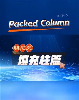 明尼克制造之：色谱填充柱国际版