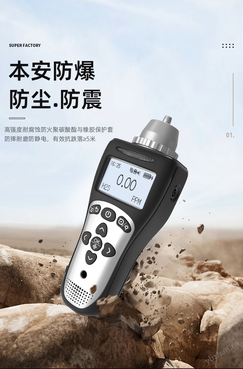 便攜式單一氣體檢測儀