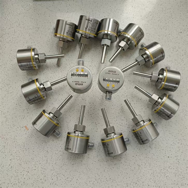 伊瑪EMA FL6002智能流動傳感器FE6002