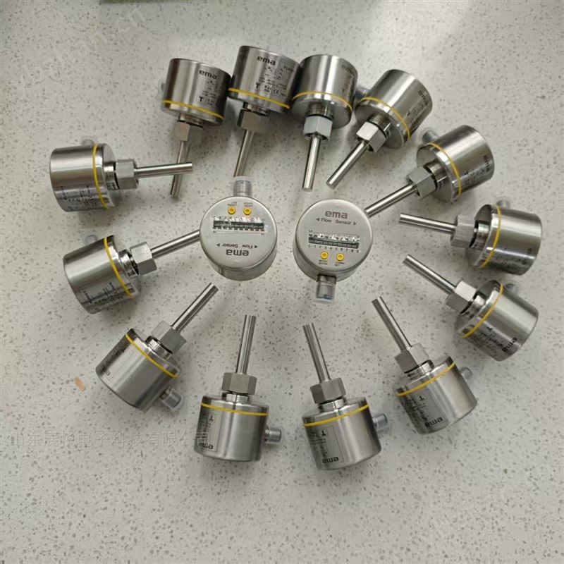 伊瑪EMA FL6002智能流動傳感器FE6002