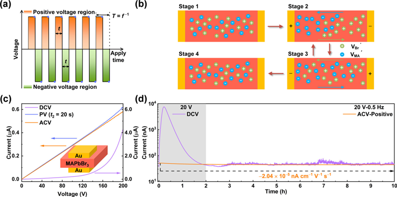 上海光机所在钙钛矿光电探测器实现稳定灵敏辐射探测方面取得进展