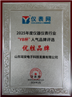 瑶安电子荣获仪表网2025年度“YB杯”仪器仪表行业人气品牌评选“优胜品牌”奖