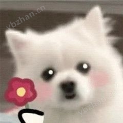 新能源光伏/風力1140V直接接入網絡電力儀表