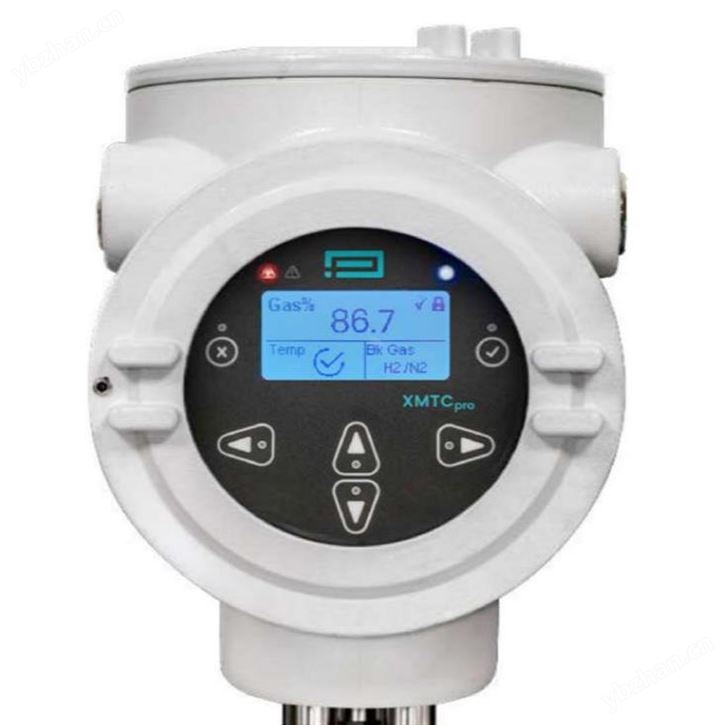 熱導(dǎo)二元?dú)怏w氧分儀