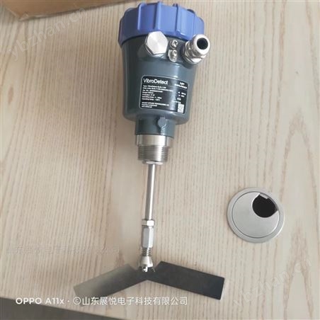 Sollidat索利得SLDL1110S阻旋料位计