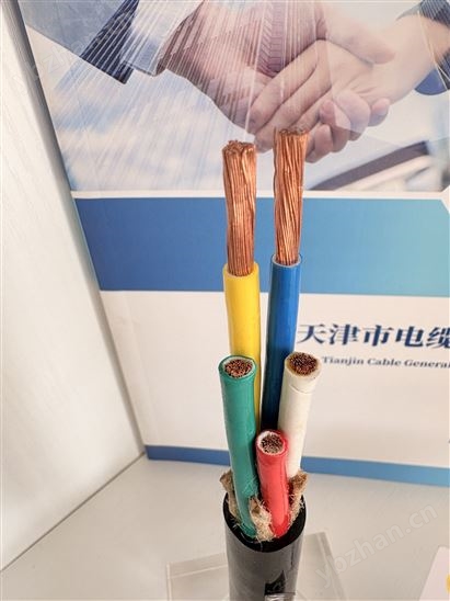 YVFR/YVFRP電纜  耐寒電纜