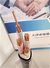 交联聚乙烯绝缘聚氯乙烯护套 电力电缆