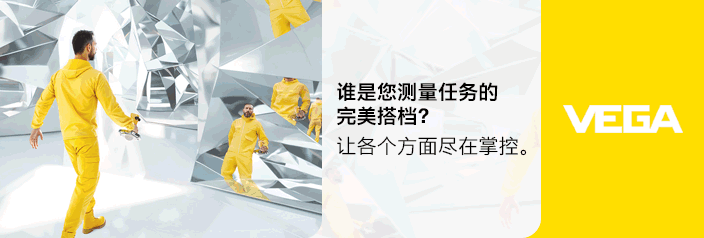 威格（中国）仪表有限公司