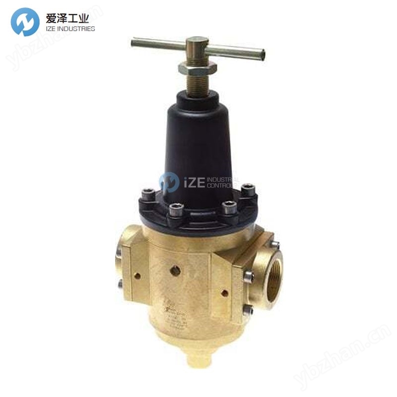 TAMESON压力调节器P27NE