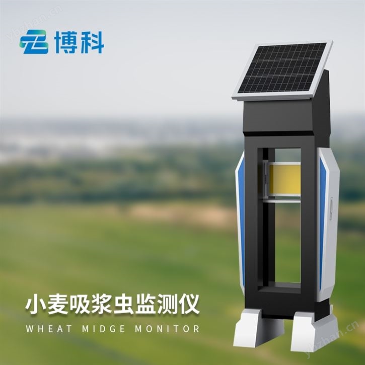 小麥吸漿蟲監測儀