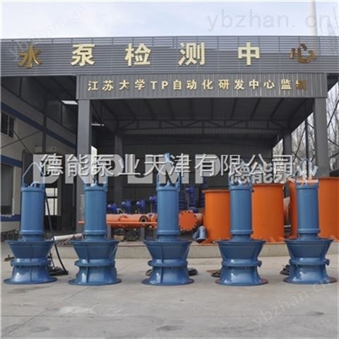 德能泵業(yè)（天津）有限公司潛水泵 離心泵