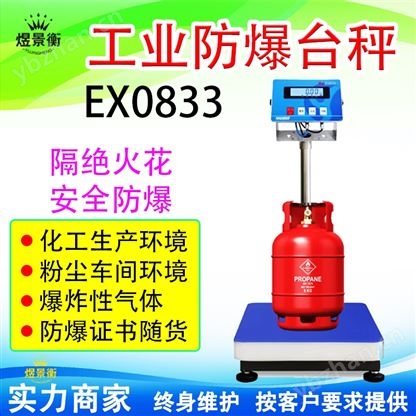 優寶防爆電子秤E0833 本安型防爆臺秤60kg