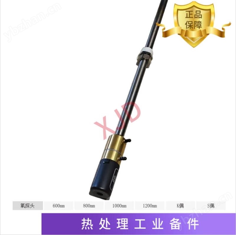 美國進口SSI氧探頭