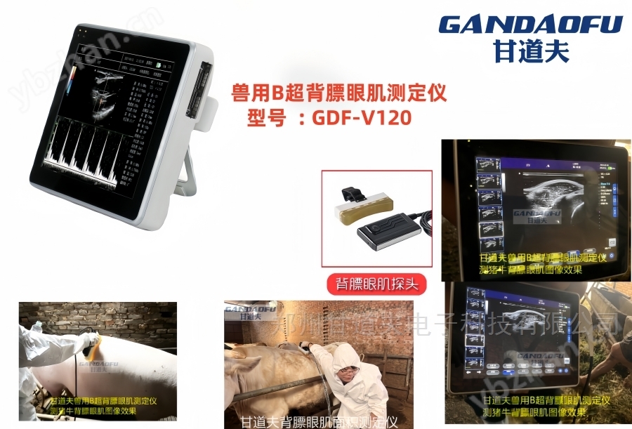 采购牦牛用B超背膘眼肌测定仪价格报价