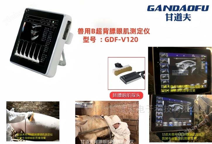 采購牦牛用B超背膘眼肌測定儀價格報價