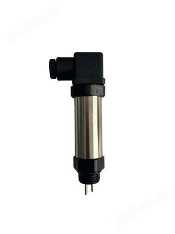 檢漏傳感器（真空傳感器）