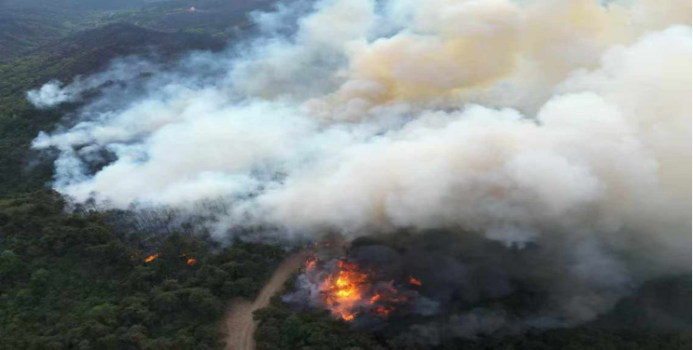 應急調度與自動巡防并舉，大疆無人機智能防控森林火患