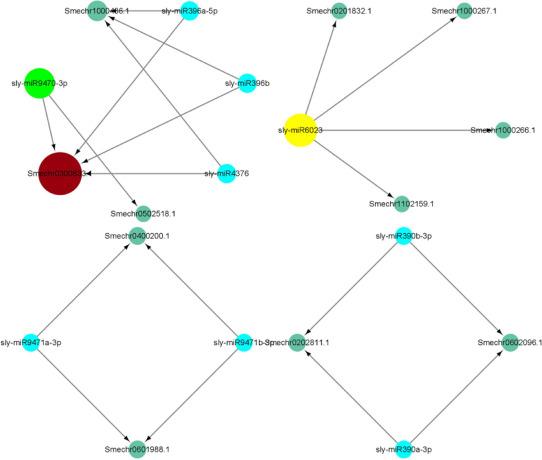 DAP-seq和RNA-seq联合助力揭示SmBBX22调控茄子花青素合成的分子机制