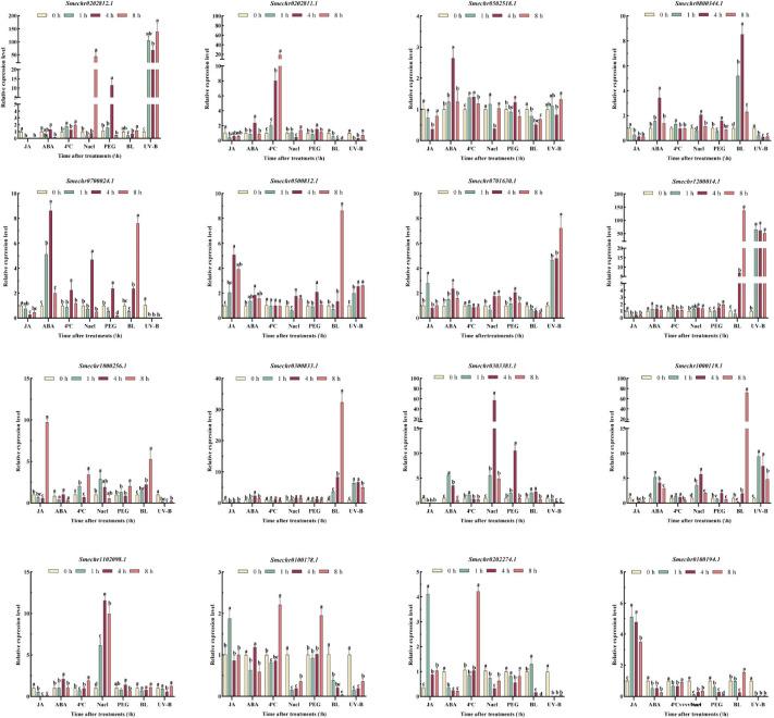 DAP-seq和RNA-seq联合助力揭示SmBBX22调控茄子花青素合成的分子机制