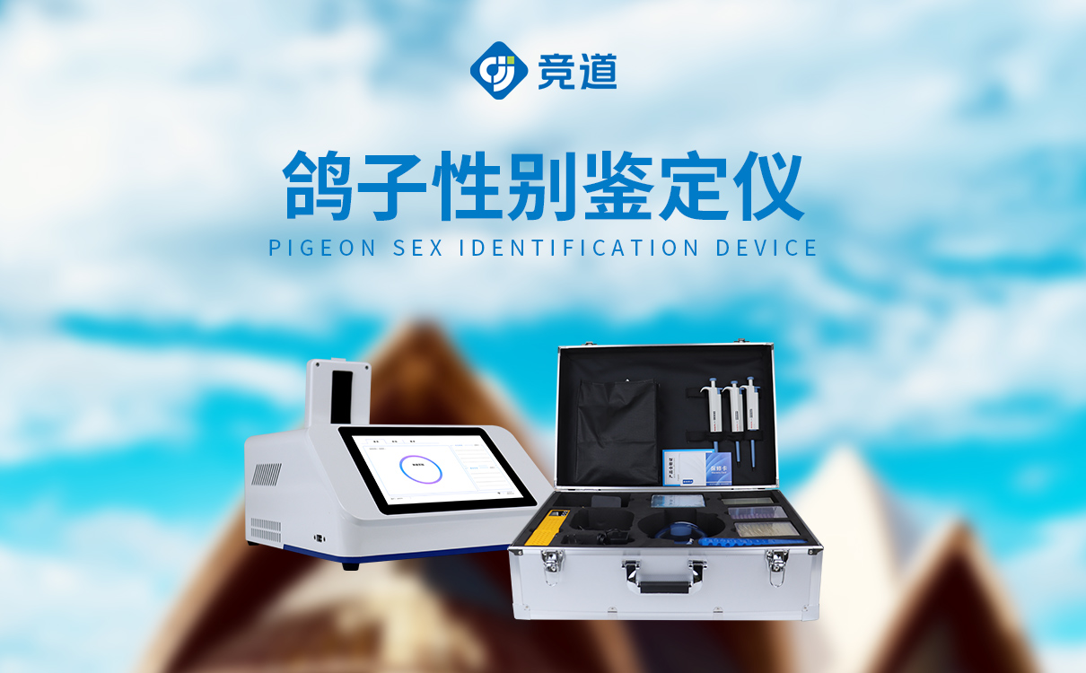鉴定鸽子公母设备 鉴定鸽子公母设备