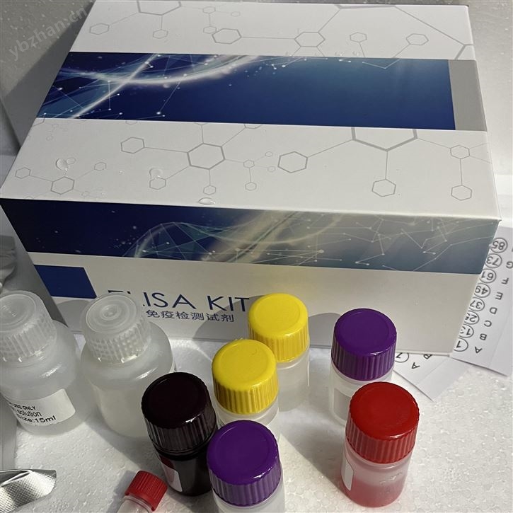 猪Ⅲ型前胶原氨基端肽elisa试剂盒品牌