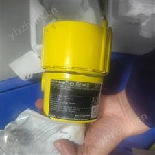 VEGAFLEX 81 导波雷达液位计库号：M411942