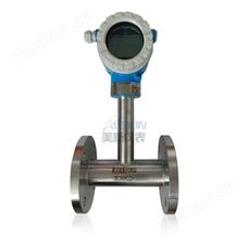 靶式流量计