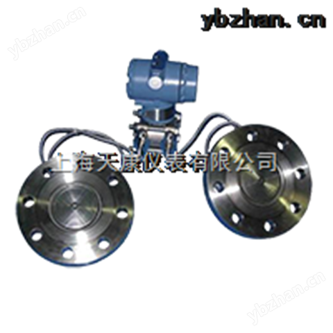 遠(yuǎn)傳雙法蘭差壓壓力變送器-差壓變送器