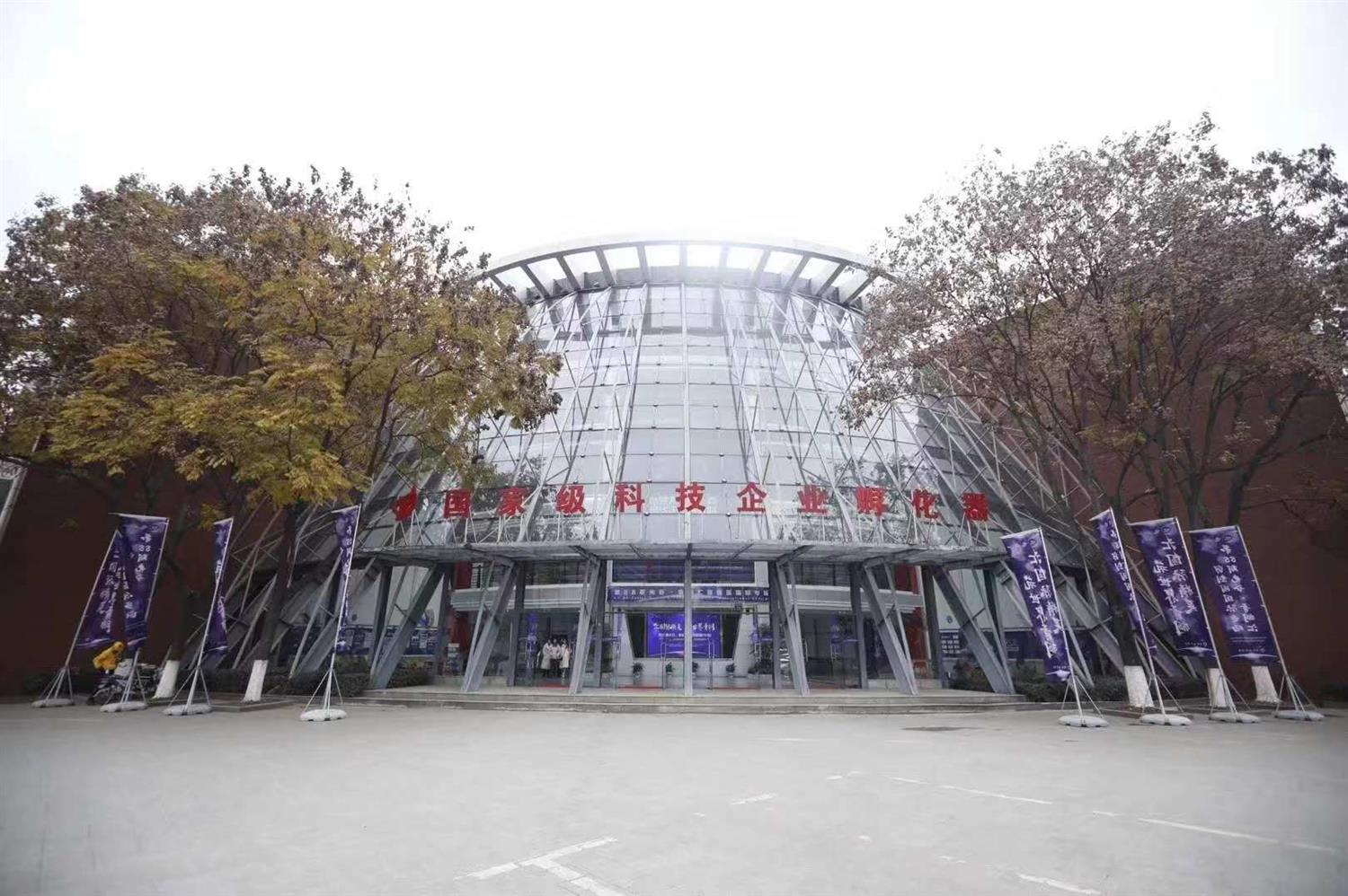 格物優(yōu)信榮獲“青桐之星”稱號(hào)